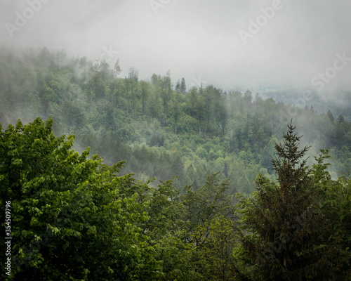 Zamglony górski las w okolicy miejscowości Miłków