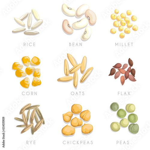 Сereal and seeds little heaps set. Rice, beans, millet, corn, oats, flax, chickpeas, rye and green dryied seeds. Agriculture and nutrition vector icons collection. Isolated and signed on white.