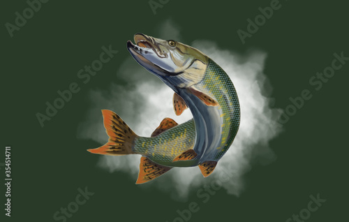 pike on a white background