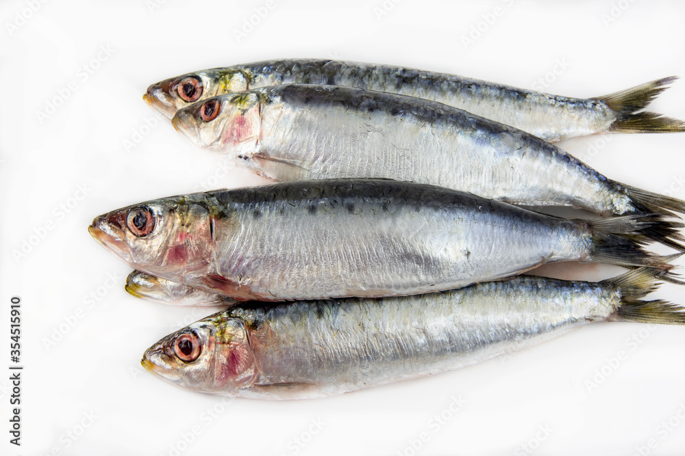 Several fresh sardines on white background