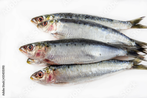 Several fresh sardines on white background