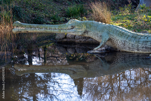 Crystal Palace Dinosaurs in Crystal Palace Park, London, England, United Kingdom photo