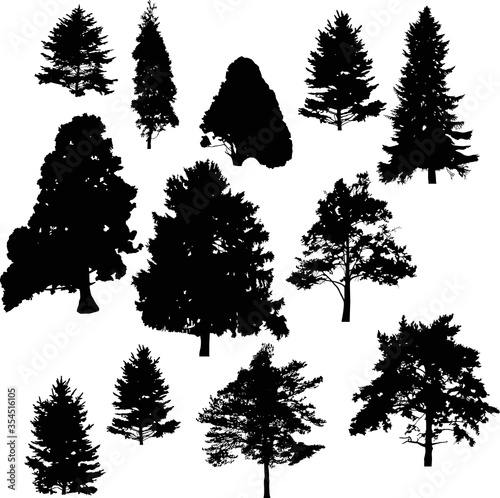 set of twelve coniferous trees on white