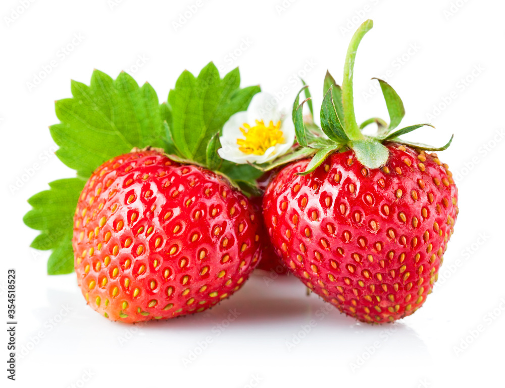 Fresh strawberry with green leaf and flower. Isolated on white background. Fresh strawberry with green leaf and flower. Isolated on white background.