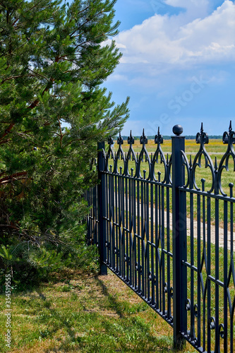 Image of a beautiful decorative metal wrought-iron fence with artistic forging. Metal fence close-up.