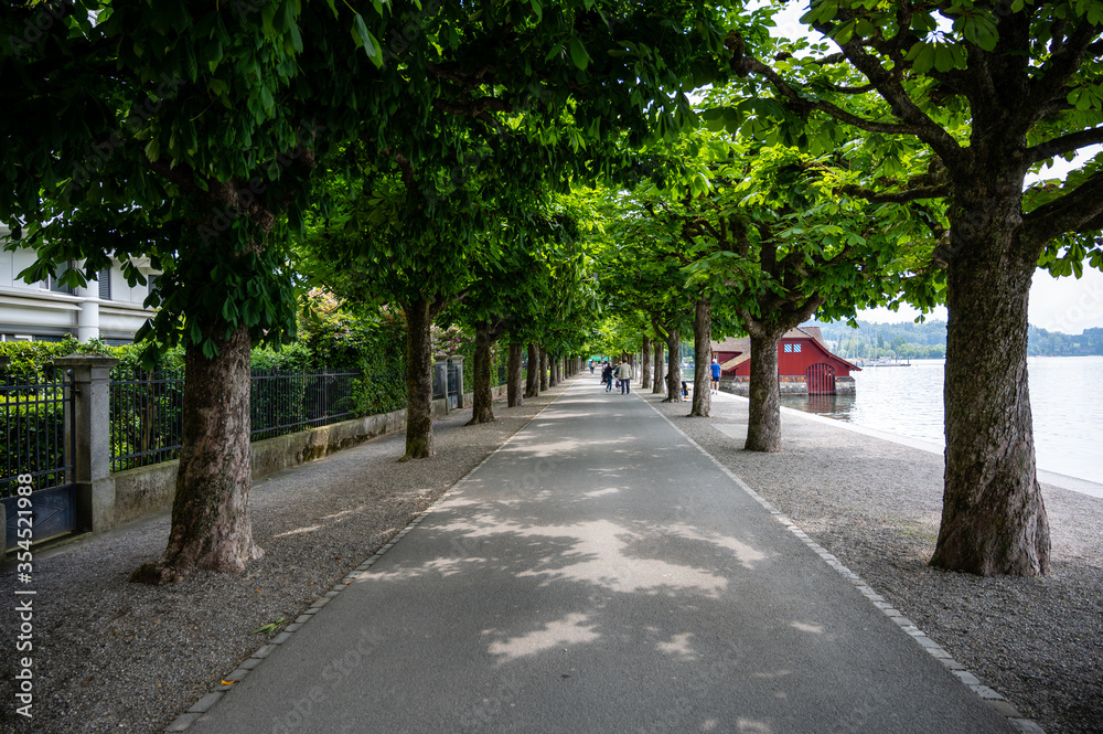 Gente andando entre arboles en Lucerna