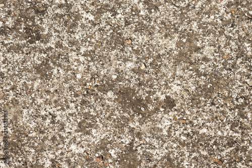 Uneven texture of seamless natural coquina shell rock wall made of sand and seashells. Grungy backdrop. Natural surface with small stones inclusion.