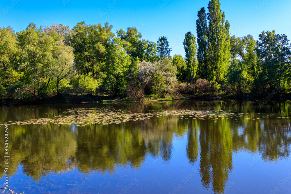 View of a beautiful lake in a green forest View of a beautiful lake in a green forest