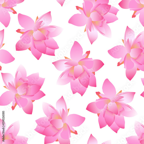 flower lily, graphic work, lily pattern, isolated work