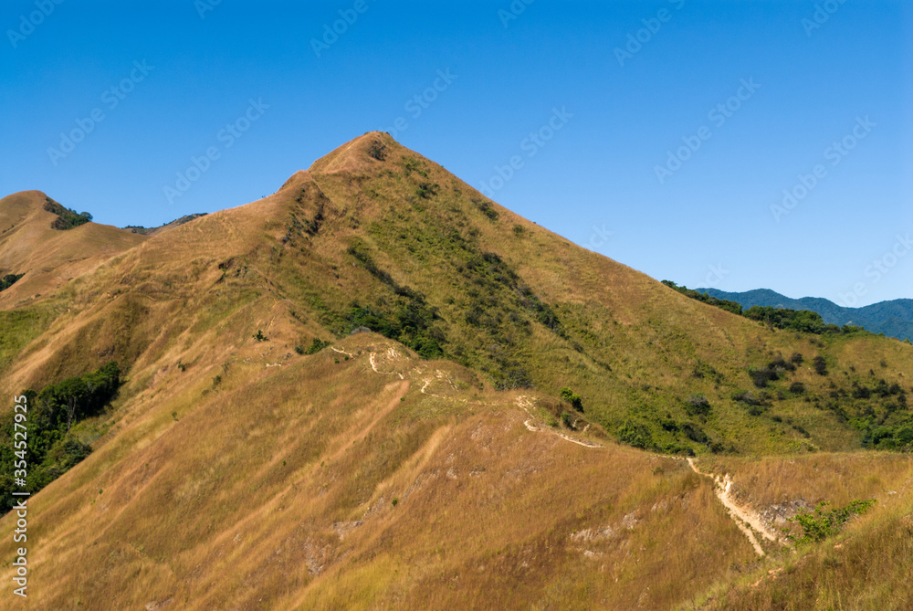 Crête d'une colline dans la vallée de la Sambirano - Madagascar. Crête d'une colline dans la vallée de la Sambirano - Madagascar.