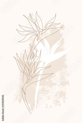 Exotic flower continuous line illustration. One line art. Minimal strelitzia silhouette and single line drawing