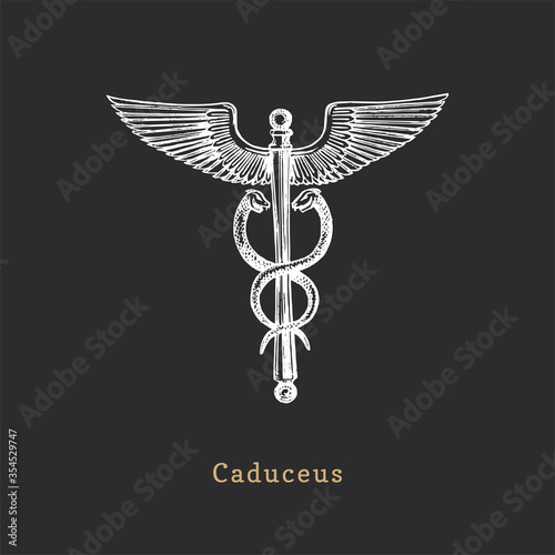 Caduceus, vector illustration in engraving style. Vintage pastiche of esoteric and occult sign. Drawn sketch.