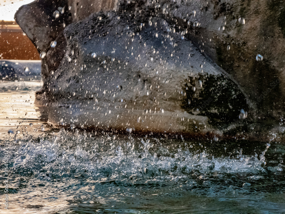 Fototapeta premium Detail of waterfall in the Fountain of Pantheon in Rome