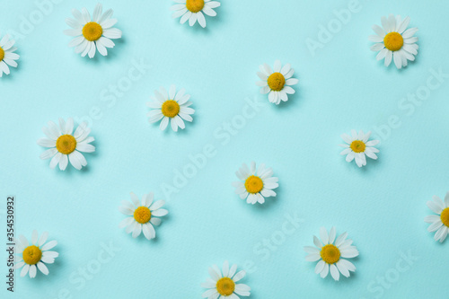 Flat lay composition with beautiful chamomiles on light blue background