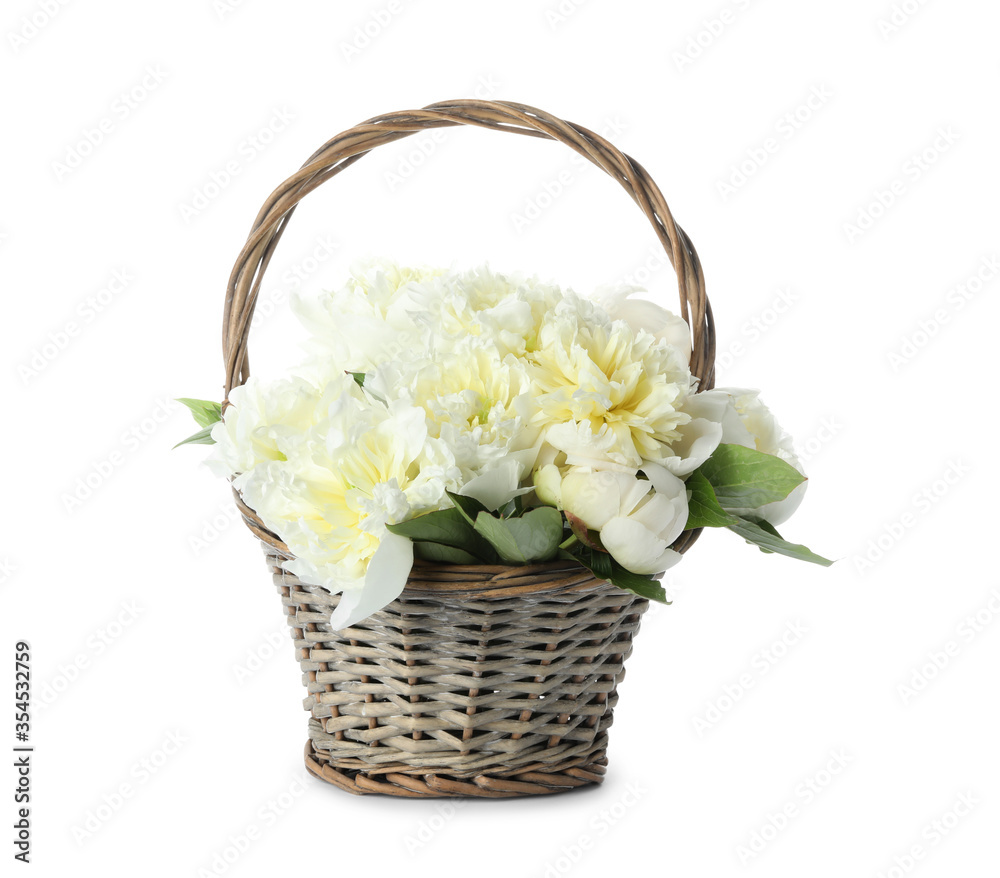 Bouquet of beautiful peonies in wicker basket isolated on white