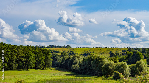 rural landscape with plain and trees