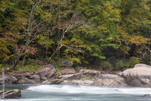 Tygart Valley River surrounded by trees at daylight in the Valley Falls State Park, West Virginia photo