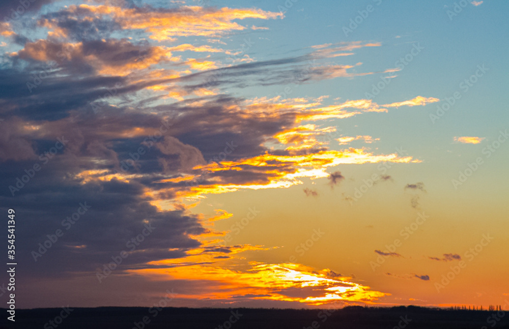 Fototapeta premium summer sunset landscape in the field