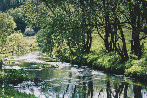 landscape of a small river flowing between the trees