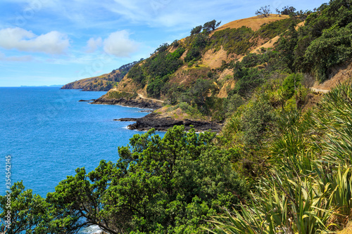 Coastal landscape on the remote, scenic northern tip of the Coromandel Peninsula, New Zealand