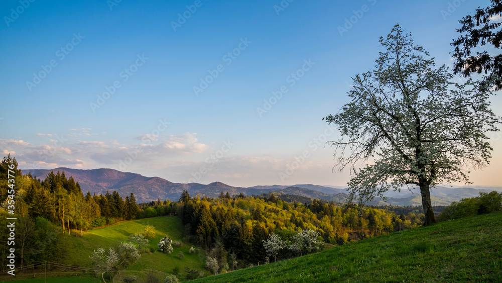 Germany, Magical colorful sunset sky over endless black forest nature landscape of mountains and valleys in springtime