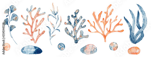 Watercolor set of isolated objects drawing blue and pink algae and corals