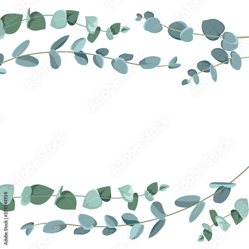 Eucalyptus border pattern on white background. Flat tropic border.