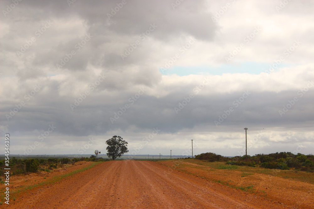 Dirt road with storm clouds and tree