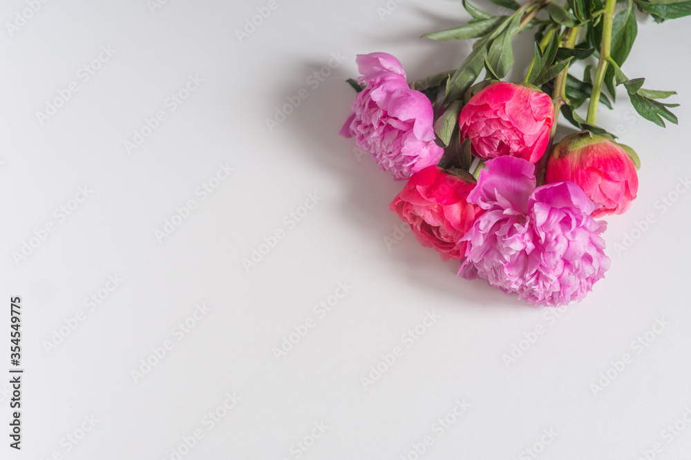 bouquet of pink peonies on a white background template for postcards bouquet of pink peonies on a white background template for postcards