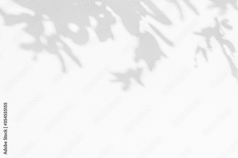 Obraz premium Leaves shadow pattern on white concrete wall