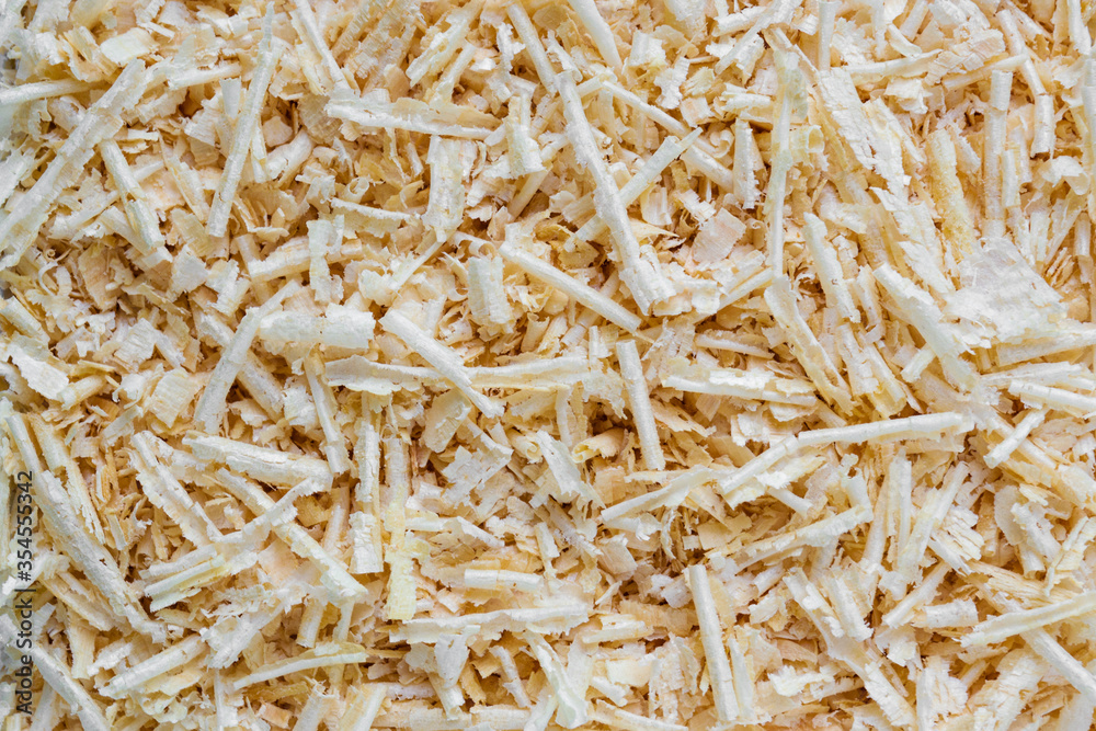 wood shavings, sawdust in a carpentry workshop wood shavings, sawdust in a carpentry workshop