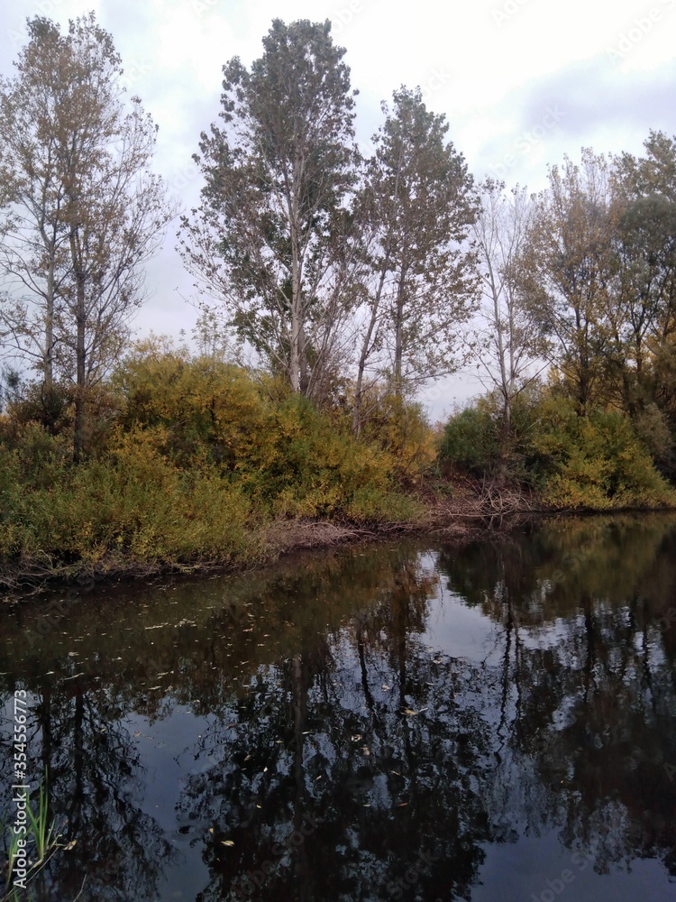 river in the woods