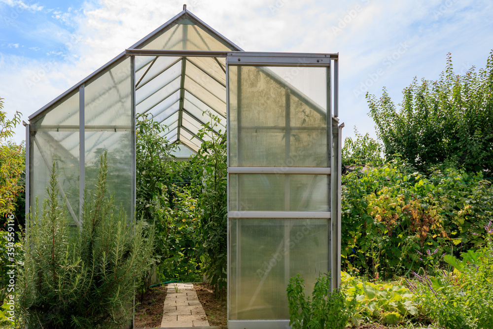greenhouse in the garden with plants against blue sky. Growing organic food in summer