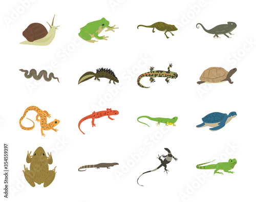 Reptiles Flat Vector Icons 