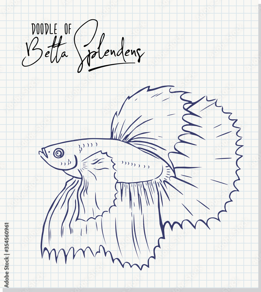 freehand sketch illustration of Betta splendens, Siamese fighting fish  doodle hand drawn | Fish artwork, Fish drawings, Beta fish drawing