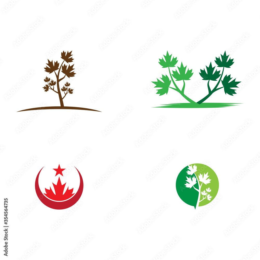 Obraz premium set Maple leaf vector illustration