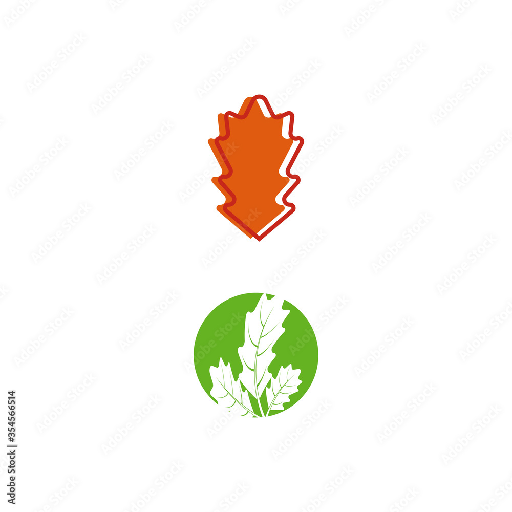 Maple leaf vector illustration Maple leaf vector illustration