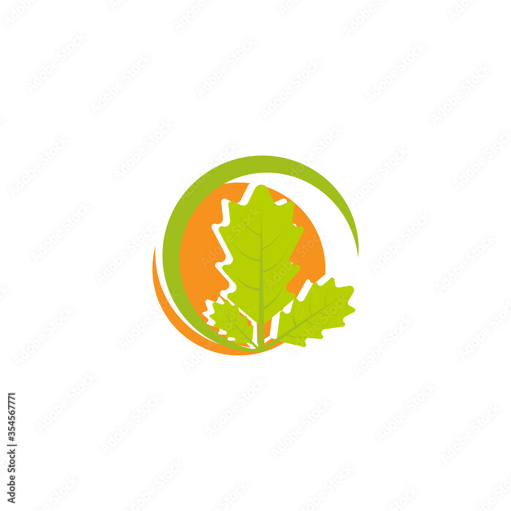Maple leaf vector illustration Maple leaf vector illustration