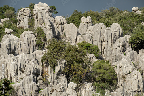 The geological sanctuary of karst, Bosc de Ses Monges, Lluc, Escorca, Mallorca, Balearic Islands, Spain