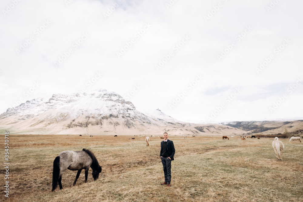 Destination Iceland wedding photo session with Icelandic horses. An epic male portrait in a field of yellow grass, among grazing horses, against a snow-capped mountain. 