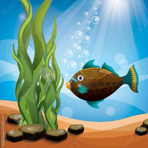 Fish underwater