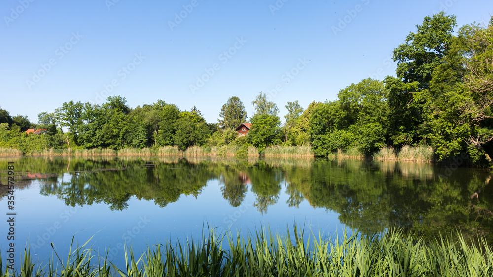 Lovely pond with trees and tree reflections. Called Widdersberger Weiher