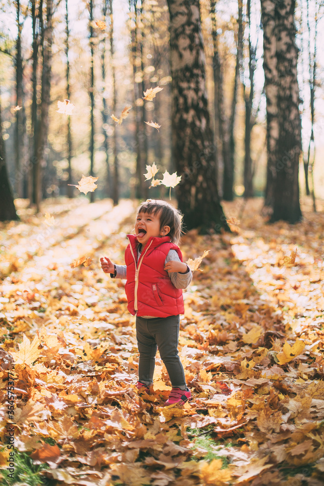 little cute girl rejoices in autumn, throws up leaves in the autumn forest on a sunny day little cute girl rejoices in autumn, throws up leaves in the autumn forest on a sunny day