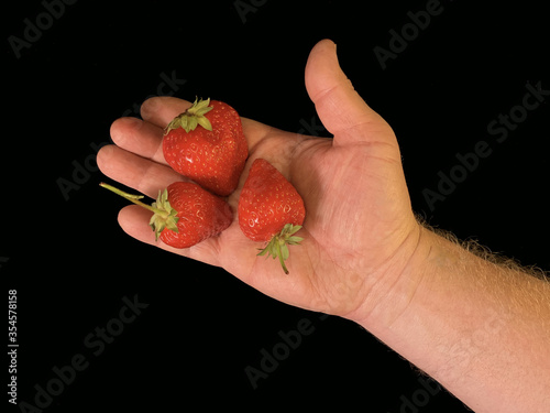 Red, ripe strawberries on a black background. Early berries in a man's hand. Sweet berry in the palm of your hand.