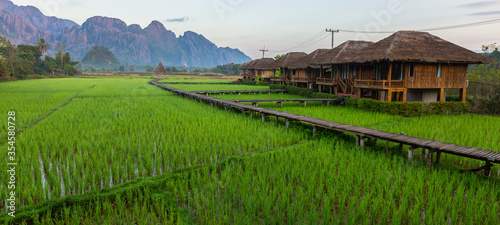 Wooden path and green rice field in Vang Vieng, Laos. Green rice fields and mountains, paddy field and Beautiful view