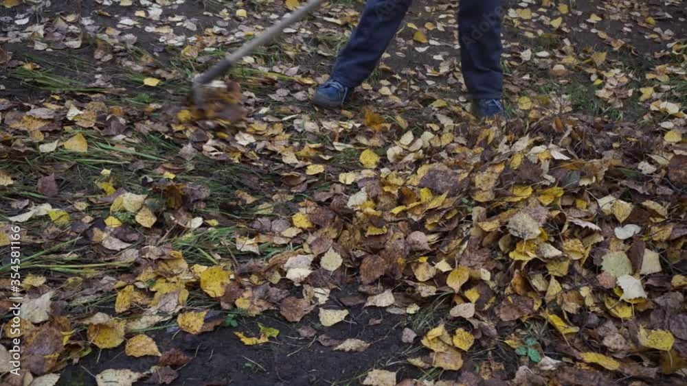 children remove yellow autumn leaves children remove yellow autumn leaves