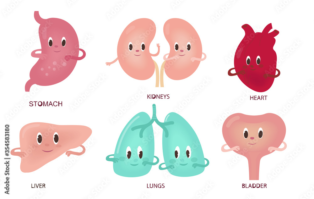 Set of funny human organs in cartoon style. Characters for anatomy design