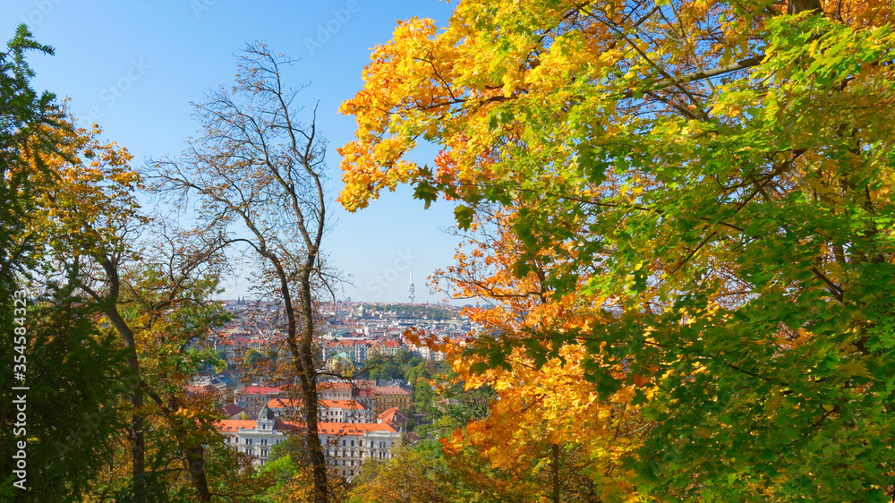 View of Prague through the branches of autumn trees. View of Prague through the branches of autumn trees.