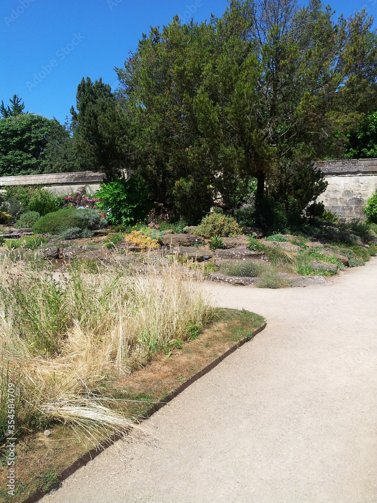 Fototapeta premium Oxford Botanic Garden