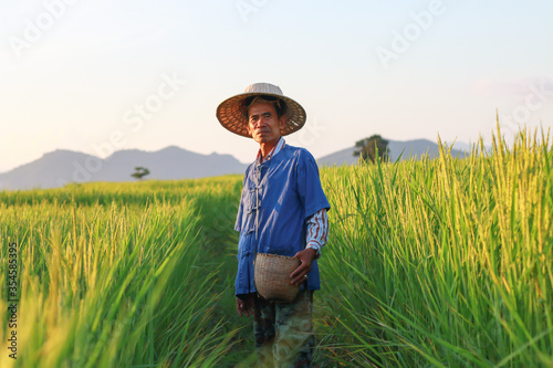 Asian farmer working on rice field manure fertilizer © shankly007